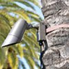 Tree Mounts & Tree Straps