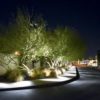 RXP04 - Image 5